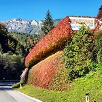 Pod Macesnovo Streho Apartament