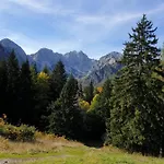 Apartament Pod Macesnovo Streho *