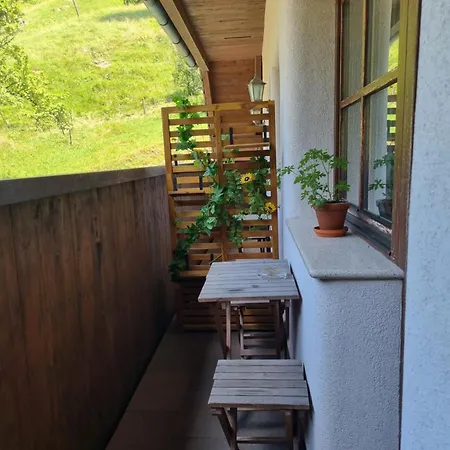 Pod Macesnovo Streho