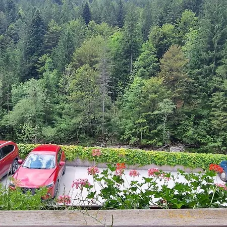 Pod Macesnovo Streho Apartmán *