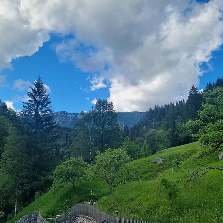 Apartmán Pod Macesnovo Streho *
