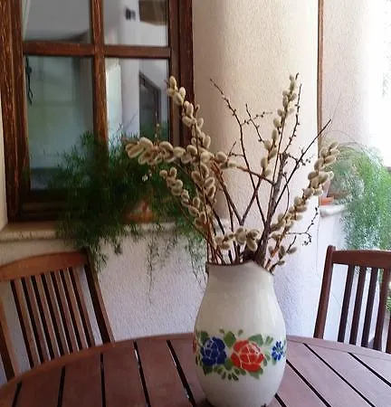 Apartmán Pod Macesnovo Streho Solčava