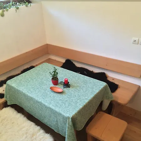 Pod Macesnovo Streho Apartmán Solčava