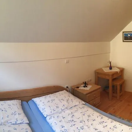 Pod Macesnovo Streho Apartment *