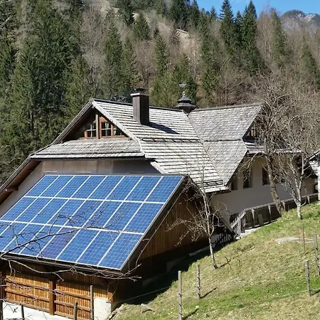 Pod Macesnovo Streho *