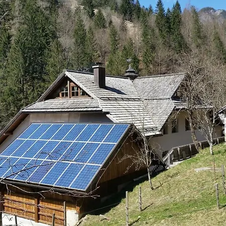 Pod Macesnovo Streho *