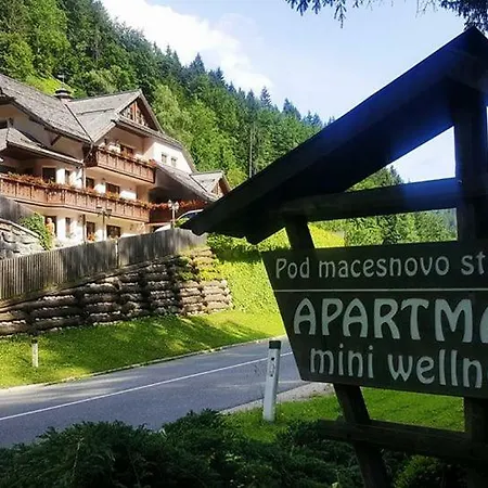 Pod Macesnovo Streho * Solčava