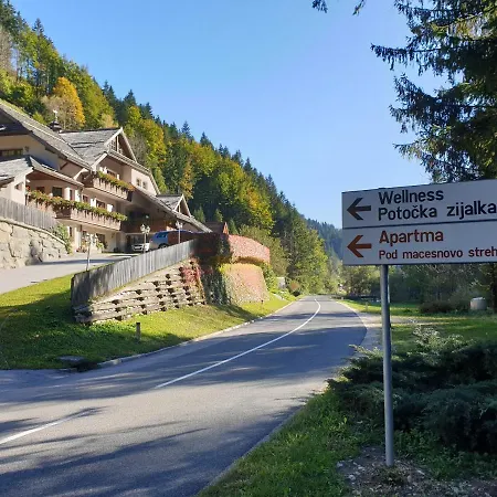 Apartmán Pod Macesnovo Streho Solčava