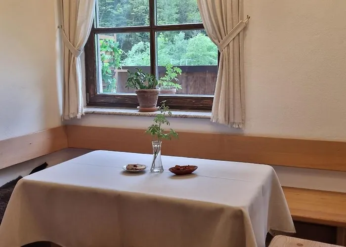 Pod Macesnovo Streho * Solčava