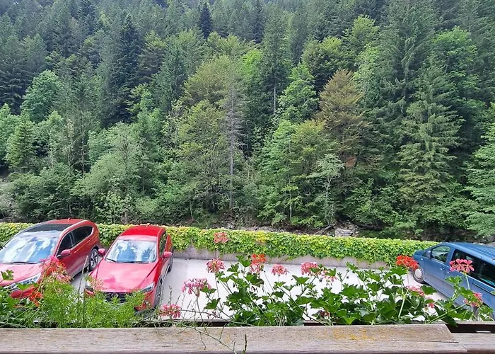 Pod Macesnovo Streho Διαμέρισμα *