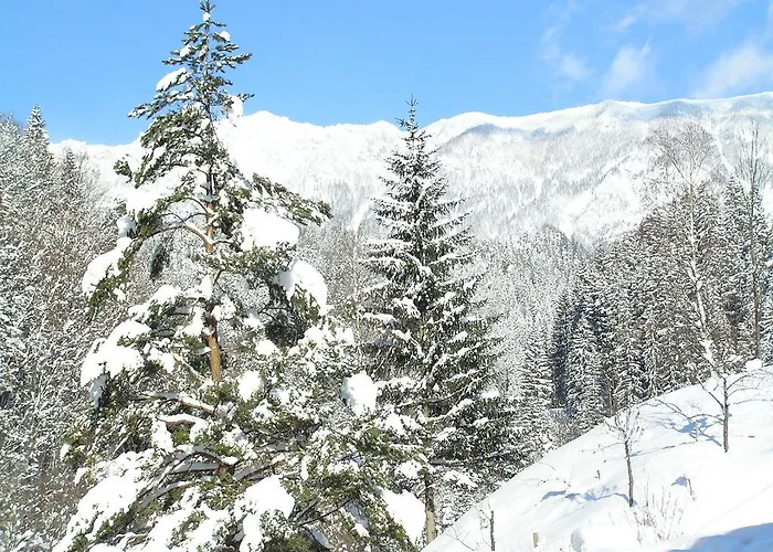 Pod Macesnovo Streho