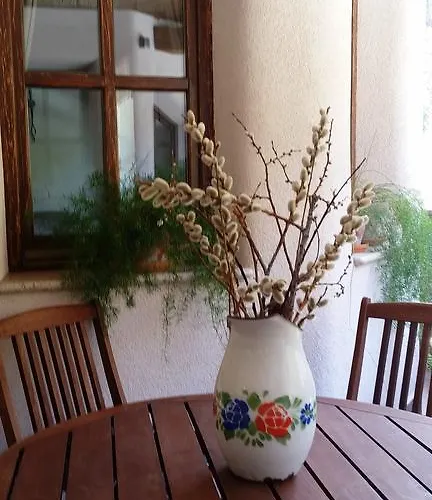 Διαμέρισμα Pod Macesnovo Streho Solčava