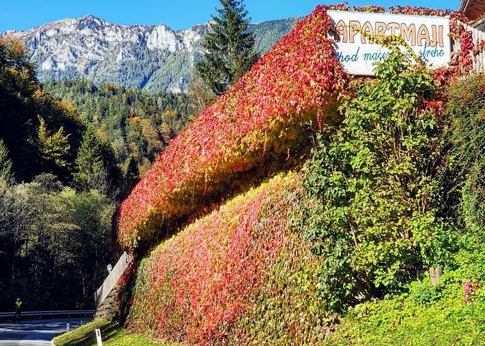 Pod Macesnovo Streho Διαμέρισμα
