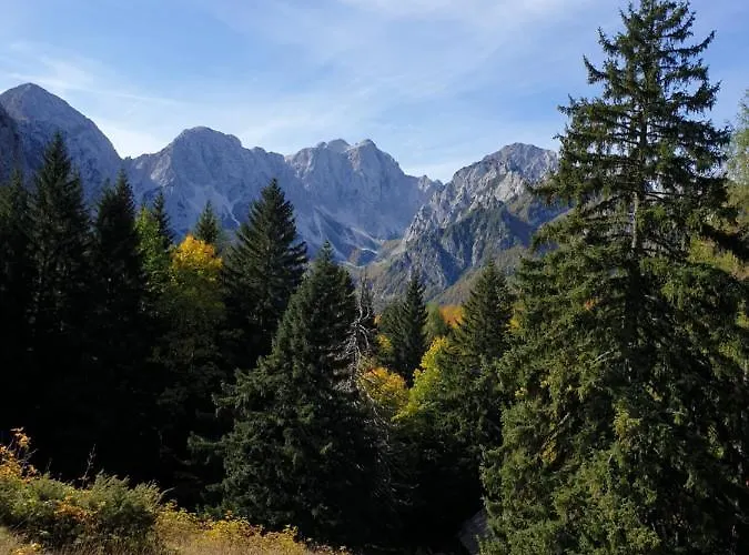 Διαμέρισμα Pod Macesnovo Streho *